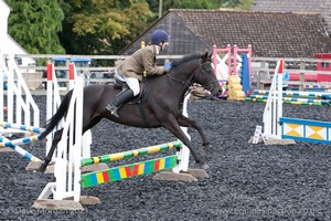 Class 3 -  Fences not above 2'3